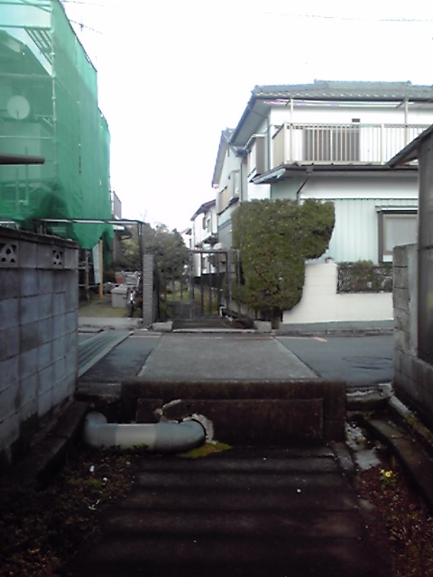 金杉台地の谷(3)　生きている廃川_d0247424_2119383.jpg