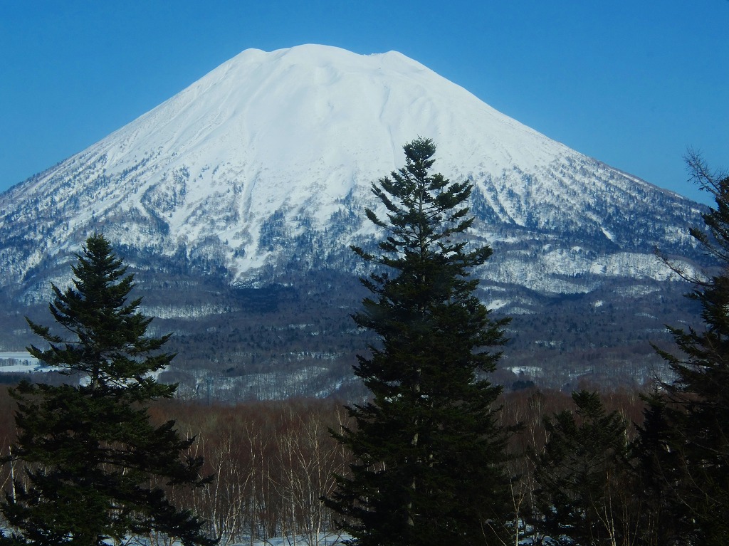 f0329325_17513.jpg