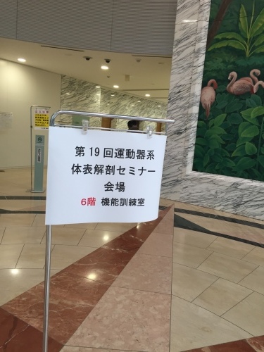 第19回運動器系体表解剖セミナー Bコース 東京会場 受講3回目_b0329026_20191436.jpeg