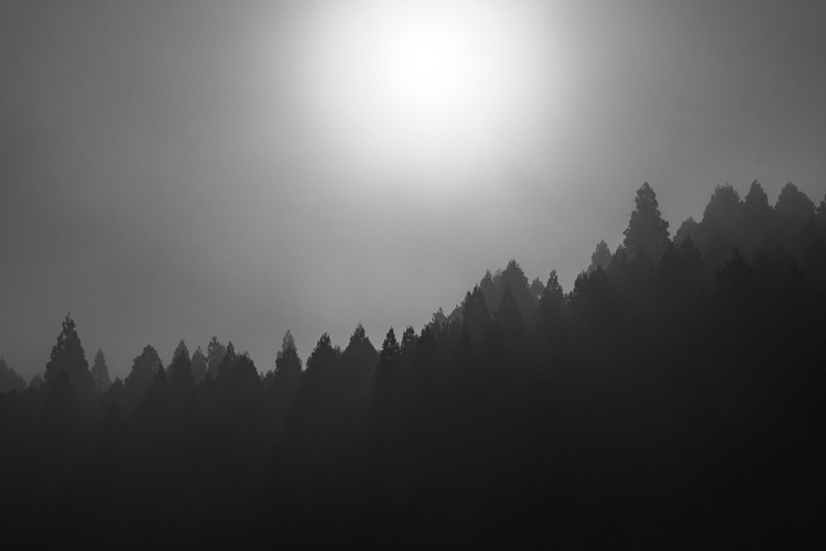 c0198227_1565197.jpg