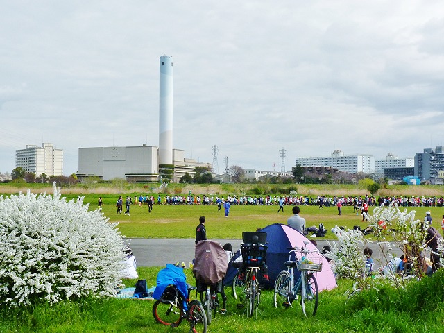 b0166128_1754342.jpg