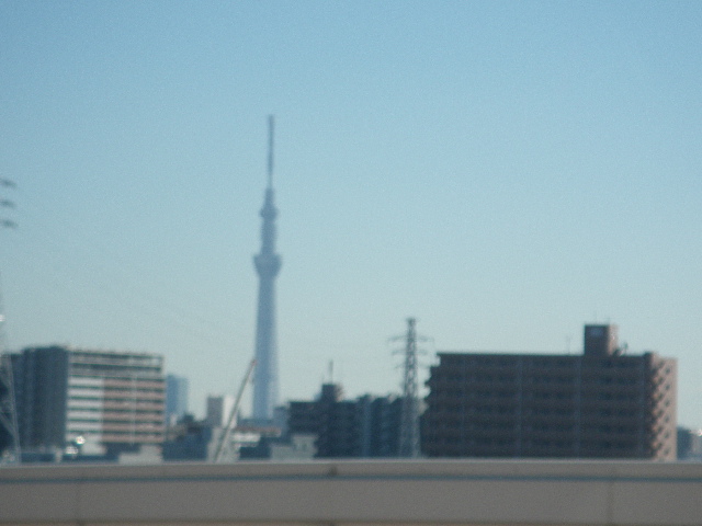 13 12 21 22 今年最後の出撃も トホホの結果 茨城県鹿嶋港 おれの若いときはなあ