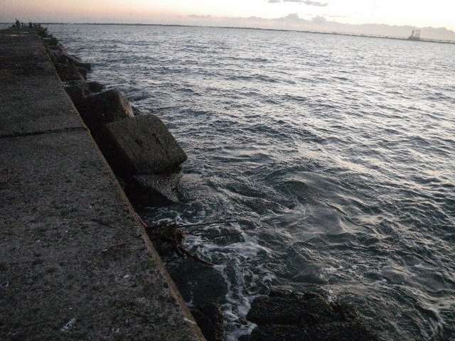 13 12 21 22 今年最後の出撃も トホホの結果 茨城県鹿嶋港 おれの若いときはなあ