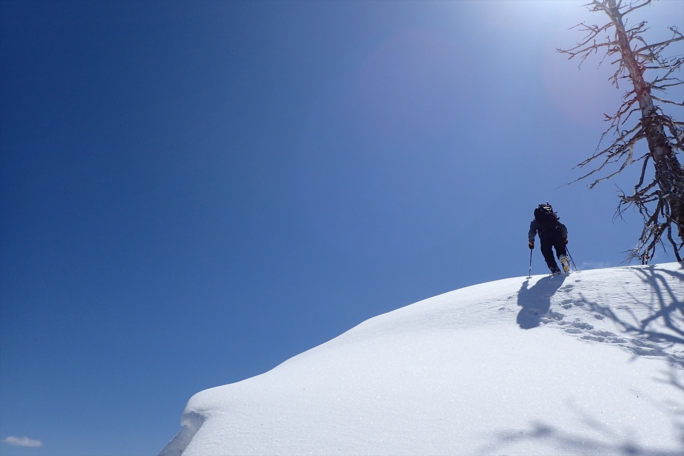 △　三方岩岳～野谷荘司山　周遊雪山登山　△_f0348933_22000491.jpg