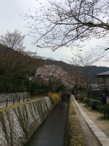 f0339434_15235680.jpeg