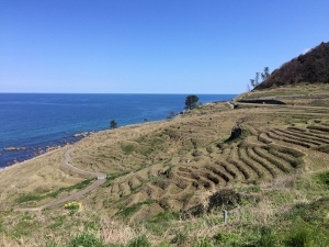 能登 美味しいものツアー2 輪島の朝市と千枚田_a0059035_22391938.jpg