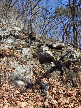 春一番の登山。宇霊羅山に登ろう~太平洋見えた!~_b0206037_08241794.jpg