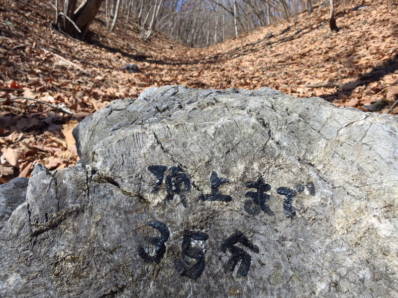 春一番の登山。宇霊羅山に登ろう~太平洋見えた!~_b0206037_08341825.jpg