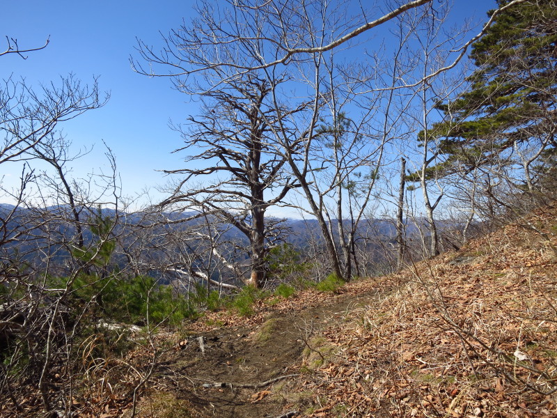 春一番の登山。宇霊羅山に登ろう~太平洋見えた!~_b0206037_08541557.jpg
