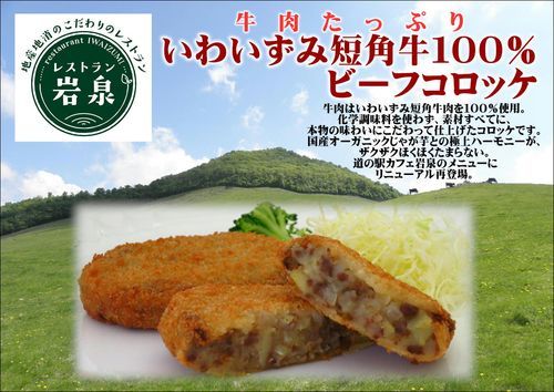 道の駅カフェ岩泉、4月1日より本格営業!_b0206037_13143023.jpg