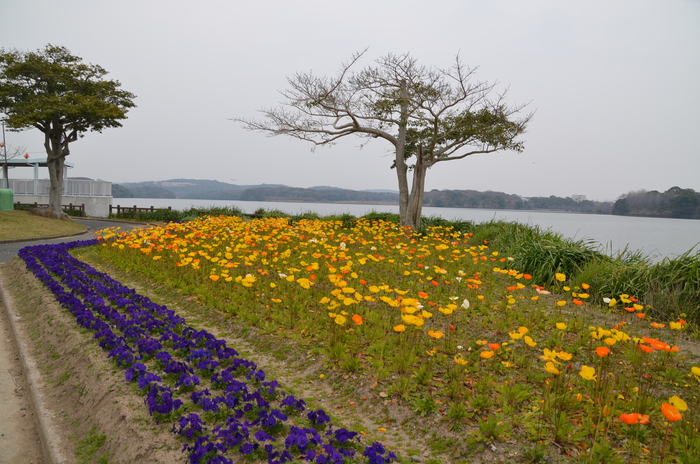 ”Tokiwa ParkからUBE Airport・・・そして旅立ち\"_d0153941_22401611.jpg