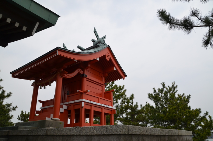 ”Tokiwa ParkからUBE Airport・・・そして旅立ち\"_d0153941_2241396.jpg