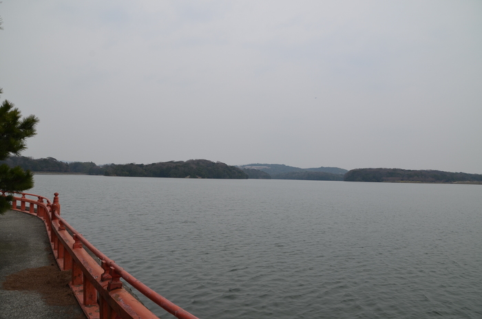 ”Tokiwa ParkからUBE Airport・・・そして旅立ち\"_d0153941_22415250.jpg