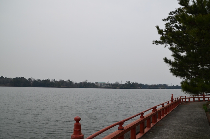 ”Tokiwa ParkからUBE Airport・・・そして旅立ち\"_d0153941_2242396.jpg