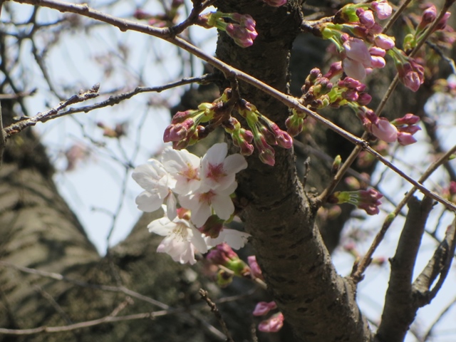 b0009849_22294523.jpg