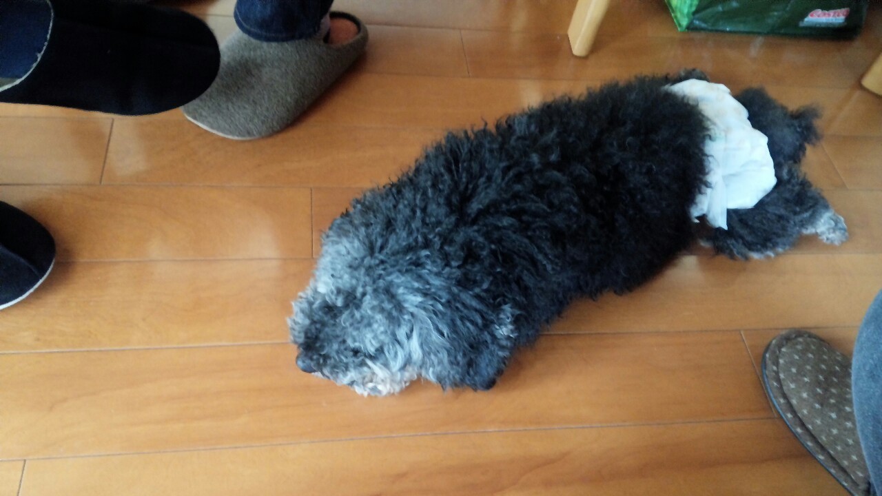 b0306158_20125028.jpg
