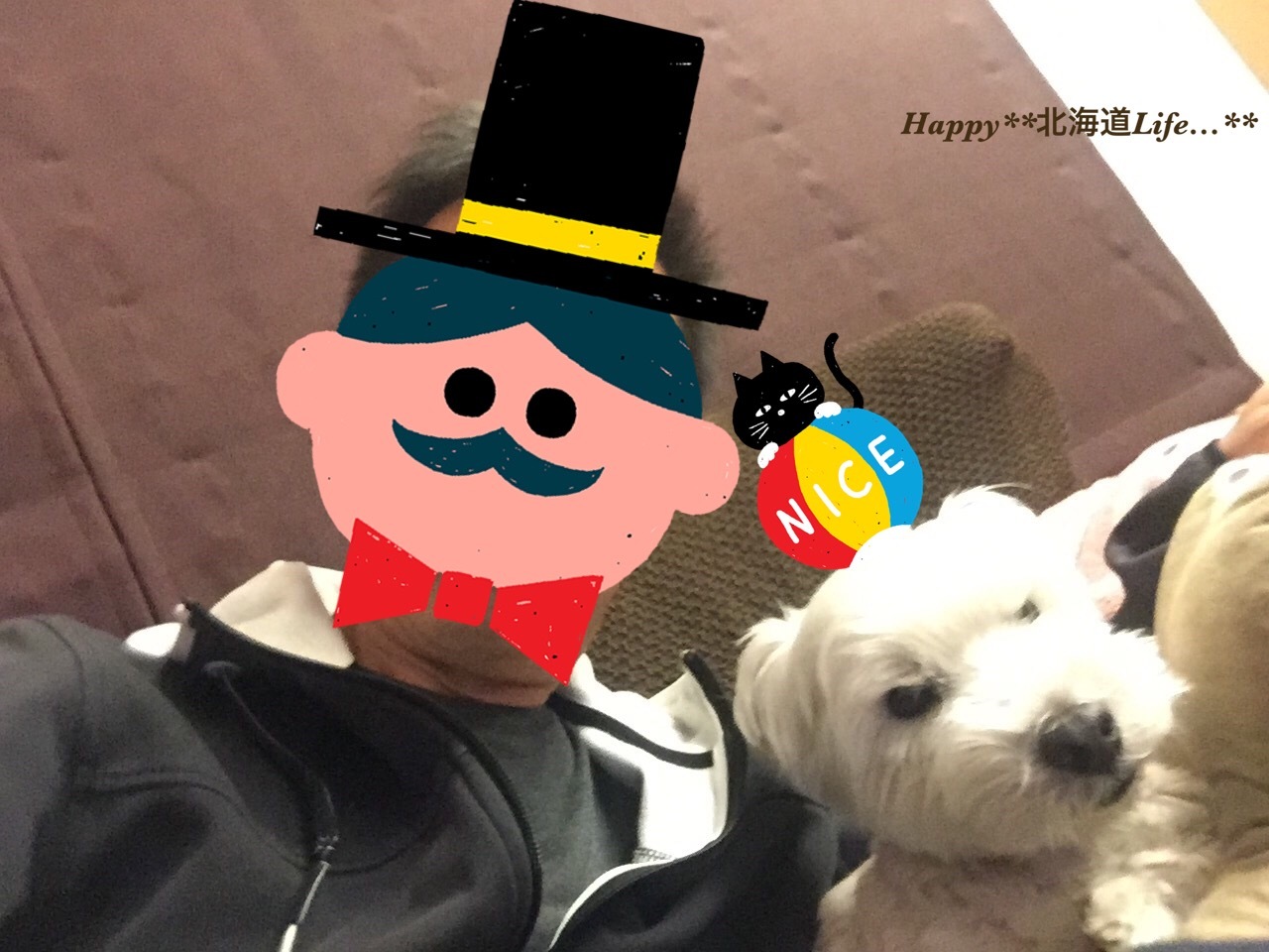 a0337860_16241100.jpeg