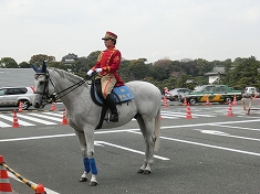 皇居乾通りの春の一般公開_a0331562_16291747.jpg