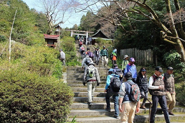 桜・桜・桜　満開　恒例のお花見ウオーク_b0044663_10553817.jpg