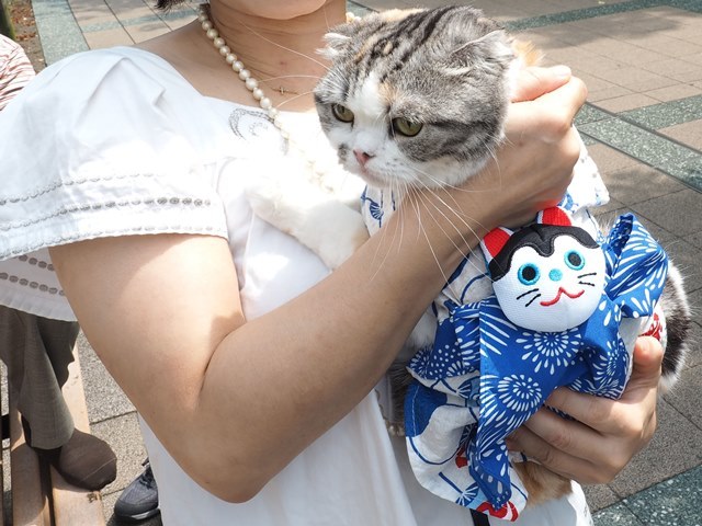 深川八幡祭り_b0361063_09024217.jpg