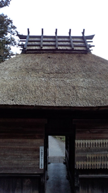 d0052263_962055.jpg