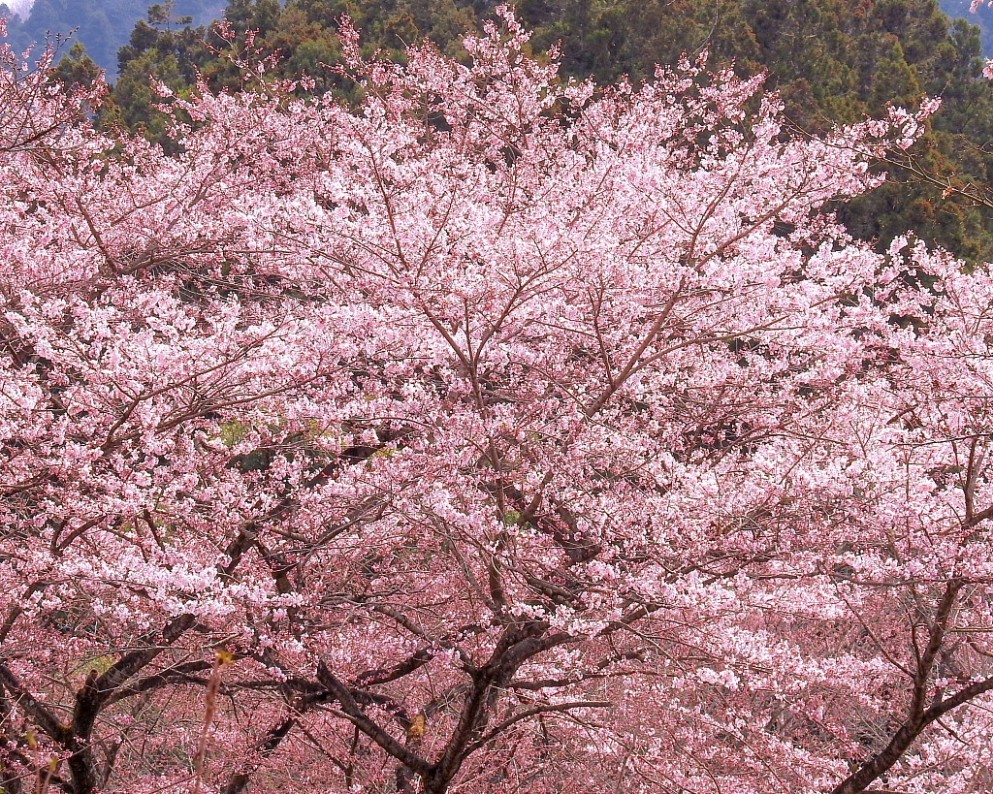 c0305565_17543064.jpg