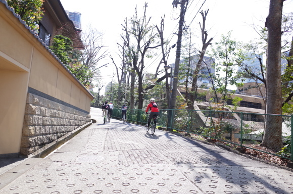 a0232368_20172258.jpeg