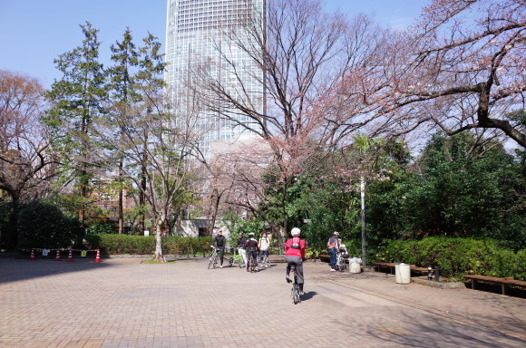 a0232368_20183566.jpeg