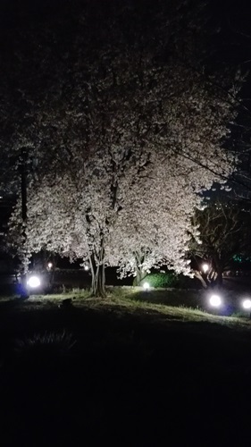 f0144970_1935511.jpg