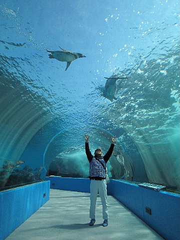 水族館はお好きですか。_b0141773_23511280.jpg