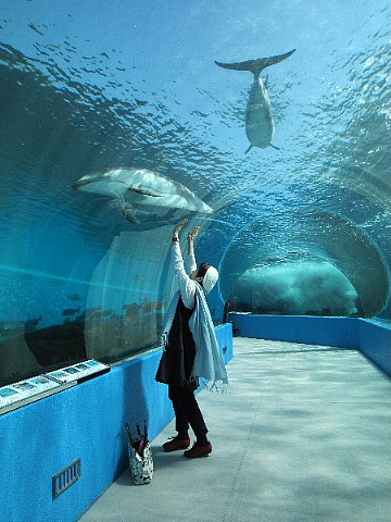 水族館はお好きですか。_b0141773_23515140.jpg