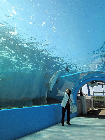 水族館はお好きですか。_b0141773_2354116.jpg