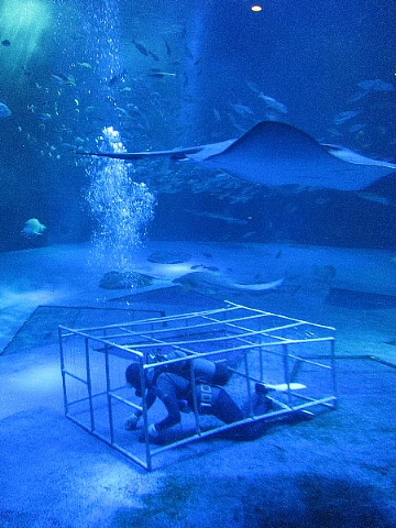 水族館はお好きですか。_b0141773_23544316.jpg