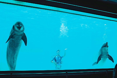 水族館はお好きですか。_b0141773_23545965.jpg