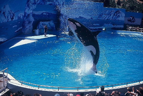 水族館はお好きですか。_b0141773_23583318.jpg