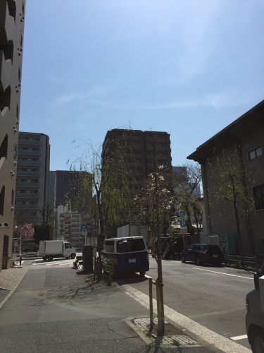 a0335677_18061128.jpeg