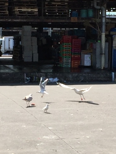 a0335677_18111419.jpeg