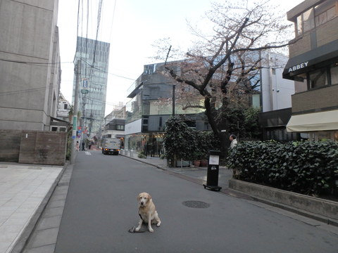 f0052277_320370.jpg