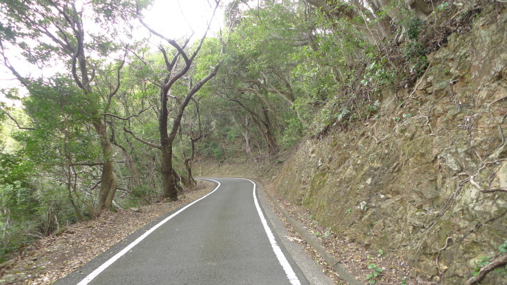 蒲生田岬～かもだ岬温泉～明神山～潮吹展望所_c0212083_18050214.jpg