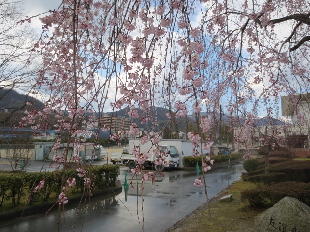 b0336384_00172599.jpg