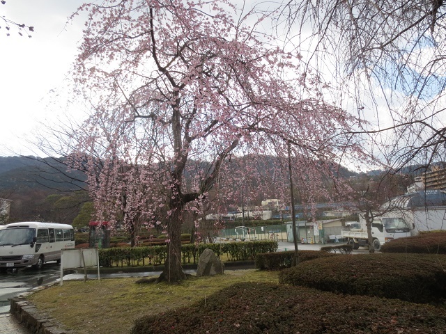 b0336384_00180016.jpg