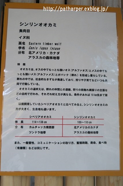 ２０１６年２月　とくしま動物園　その１ 大雨の土曜日_a0052986_23155119.jpg