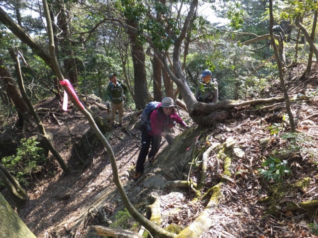 健男社から前障子、大障子、愛山新道_f0357487_2194715.jpg