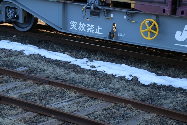 北海道新幹線津軽海峡を渡る、新富士駅で貨物列車「金太郎」に逢いました_d0181492_23170062.jpg