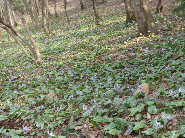 c0324393_21094288.jpg