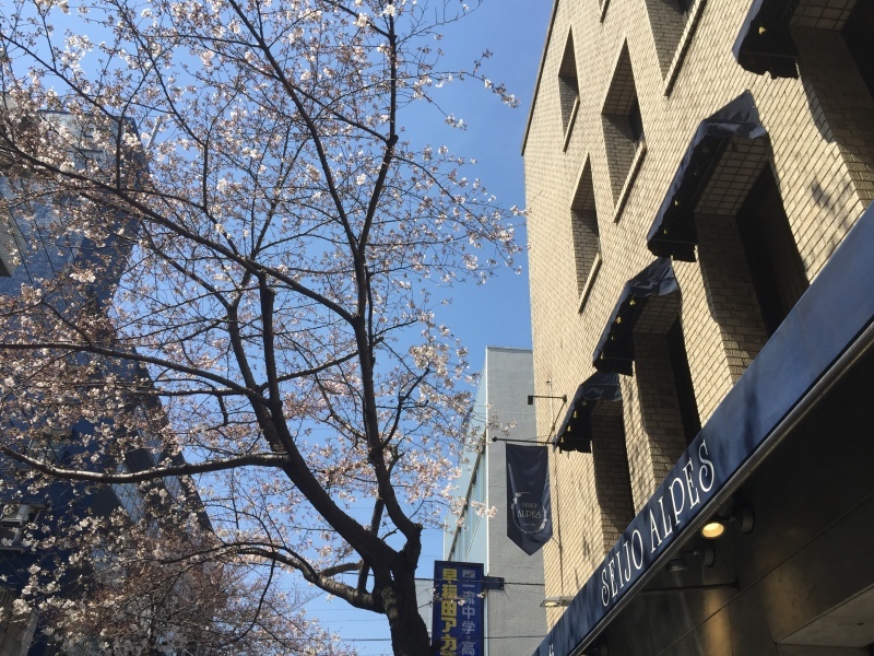 a0357894_22094540.jpeg
