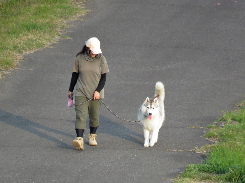 とある日のお散歩　(*^_^*)_c0049299_2305030.jpg