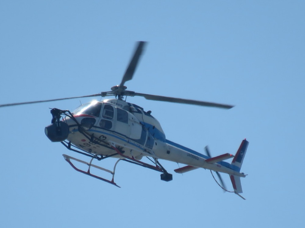 c0049299_2361448.jpg