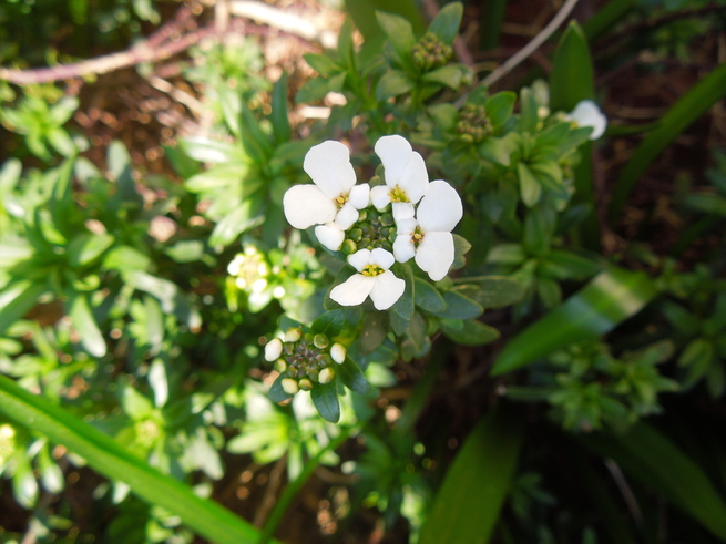 f0297809_0184851.jpg