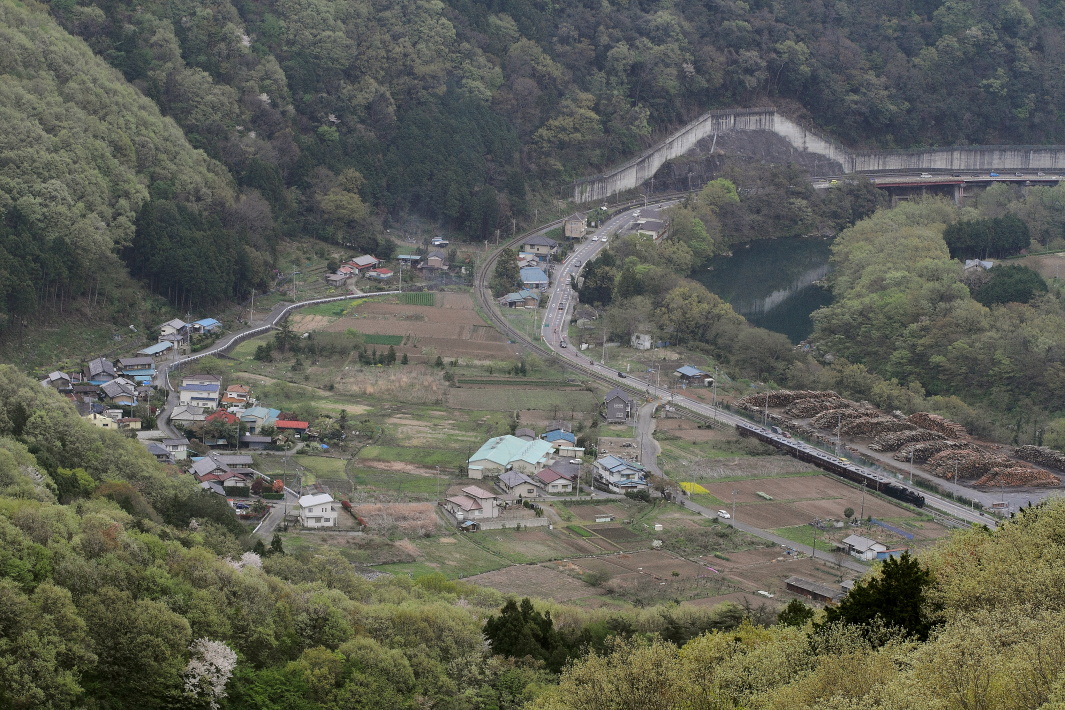 新緑に囲まれる　- 秩父鉄道 -    _b0190710_2242175.jpg